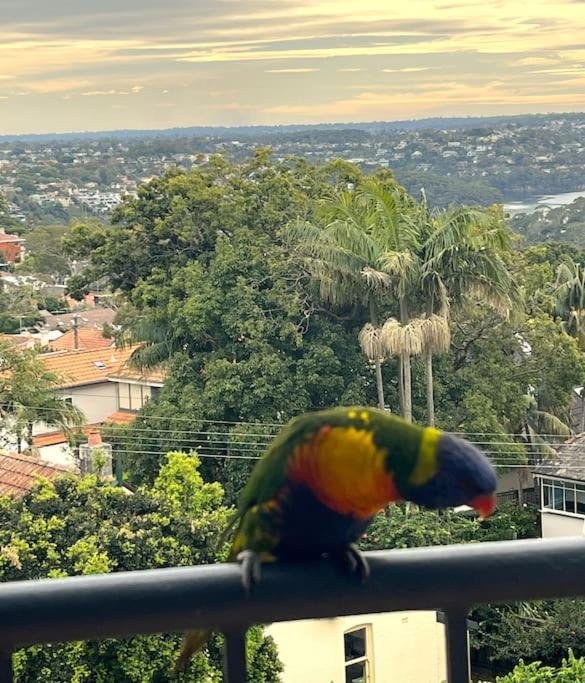 Mosman Views, 2bed, Parking, 15min Walk to Beach photo 4